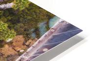Swamis HD Metal print