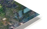 swamis reef HD Metal print
