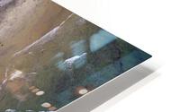 Dogs beach HD Metal print