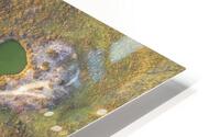 Path on the lagoon HD Metal print