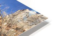 Road in Zion HD Metal print