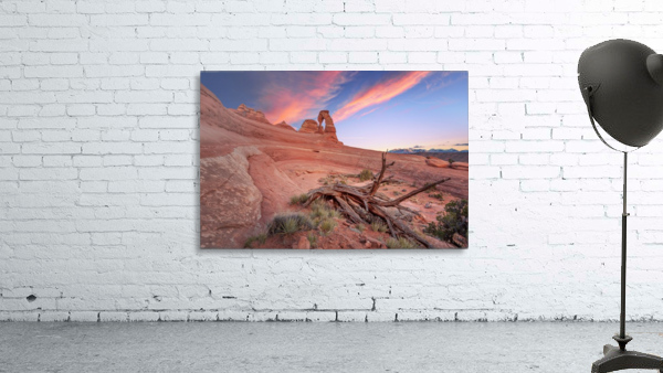 Delicate arch Wall Preview
