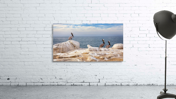 Pelicans 1 Wall Preview