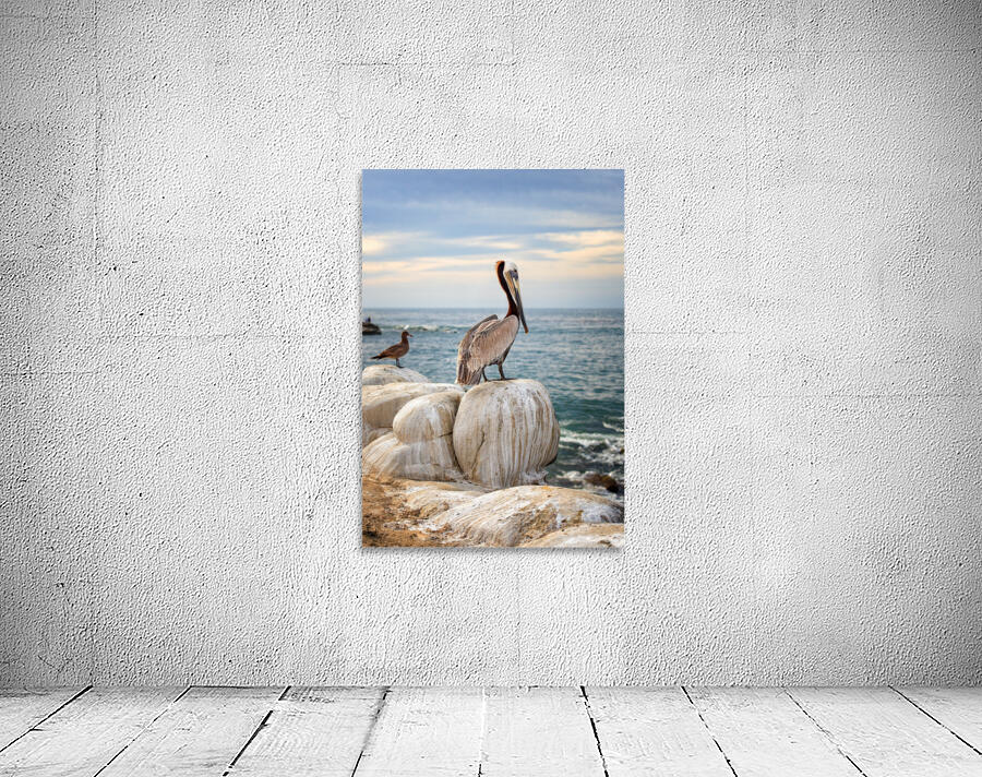 The pelican Wall Preview