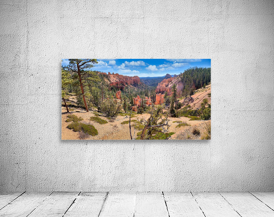 Spring in Bryce Canyon Wall Preview