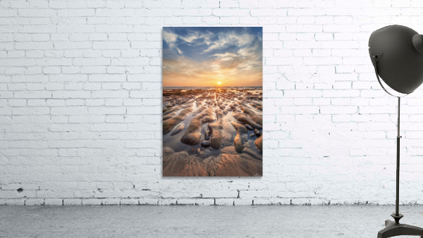 La Jolla reef Wall Preview