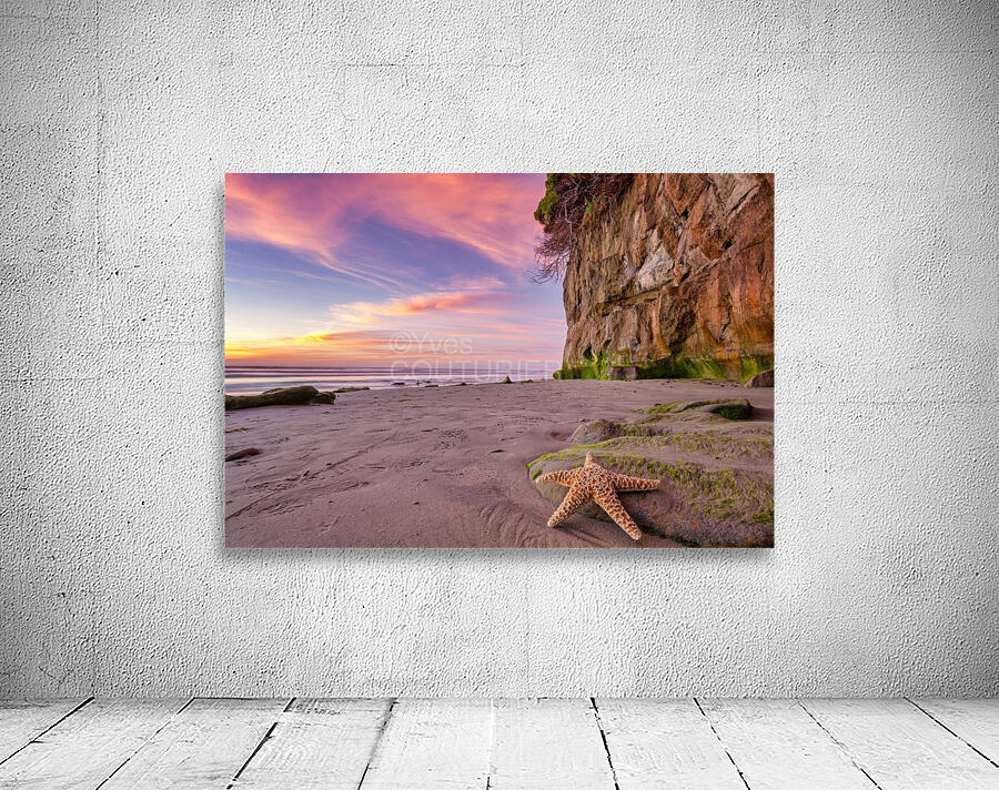 Leucadia cliffs Wall Preview