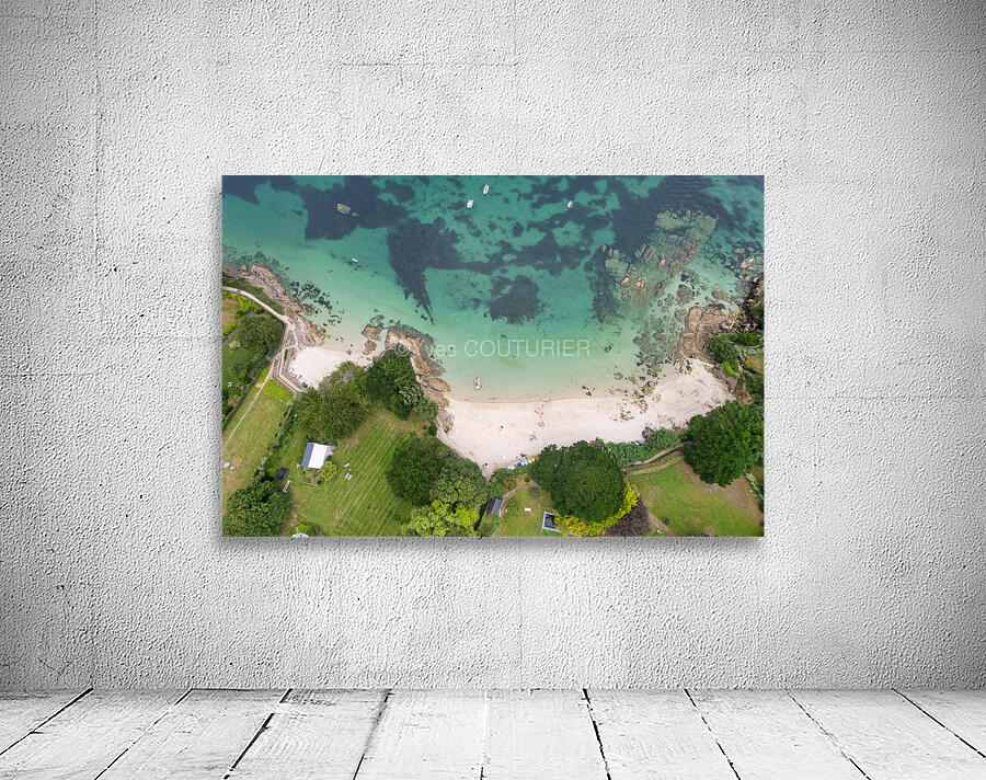 plage des oiseaux 3 Wall Preview