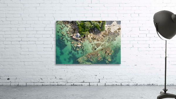 plage des oiseaux Wall Preview