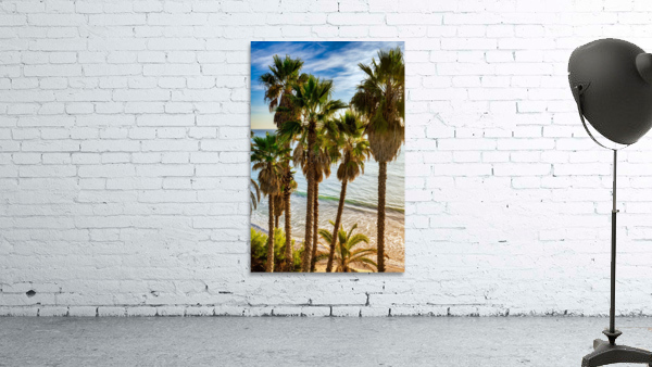Palmtrees at Swamis Wall Preview