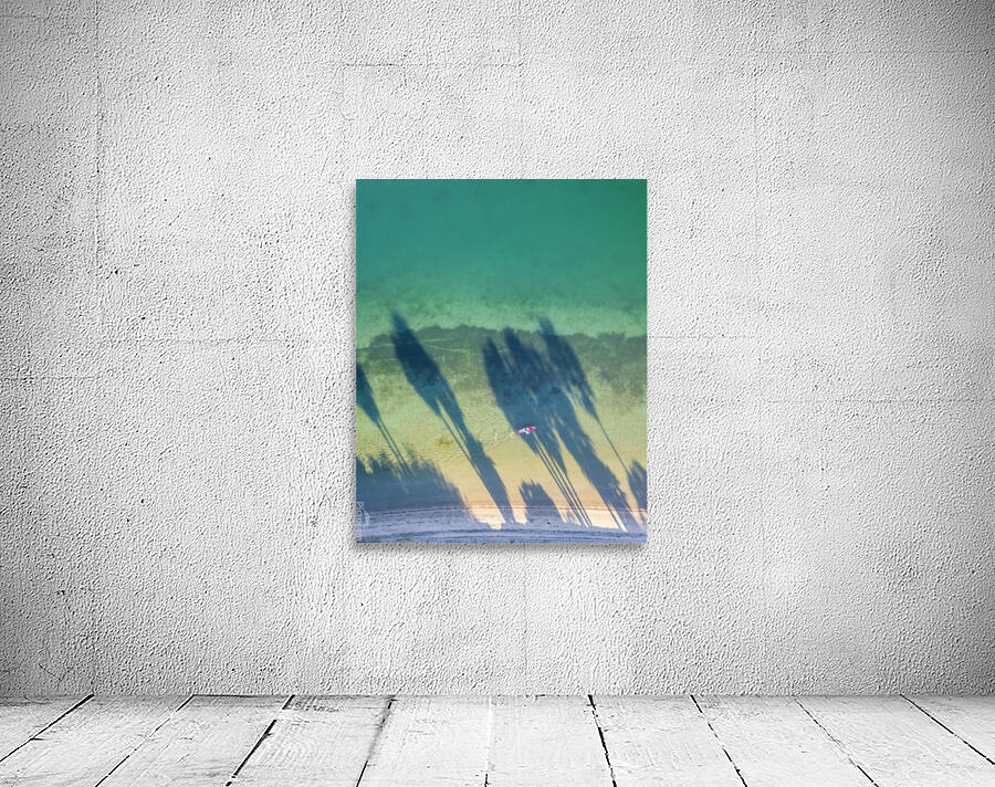 palm tree shadows Wall Preview