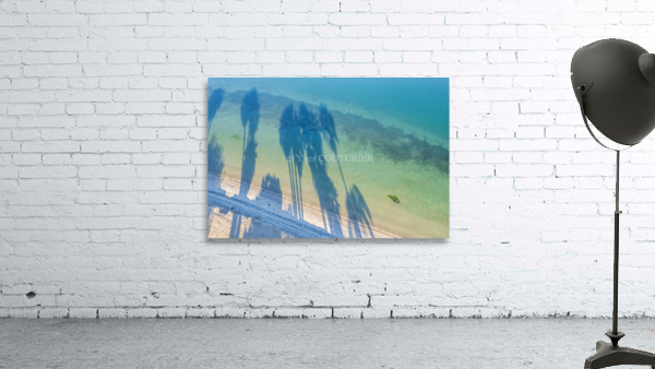palm tree shadows Wall Preview