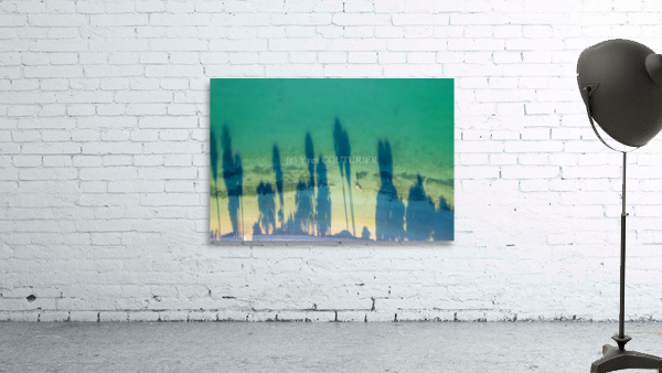 palm tree shadows Wall Preview