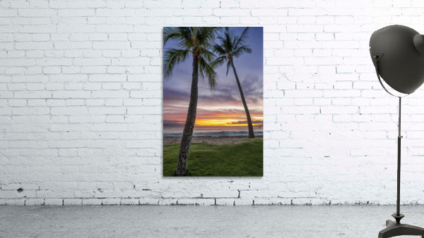 sunset coconut  Wall Preview