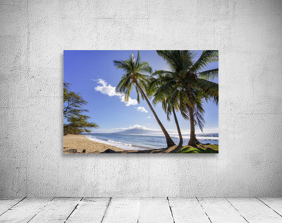 Lahaina beach Wall Preview