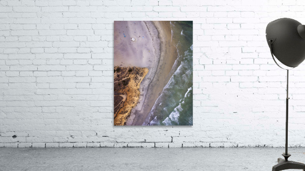 Dogs beach Wall Preview