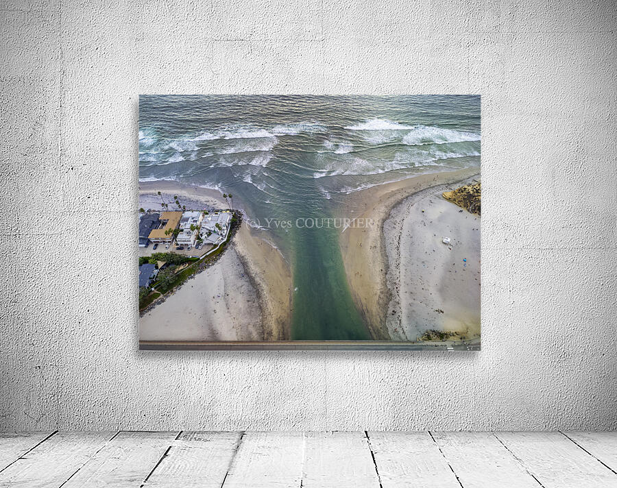 dogs beach Wall Preview