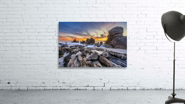 Corona del mar Wall Preview