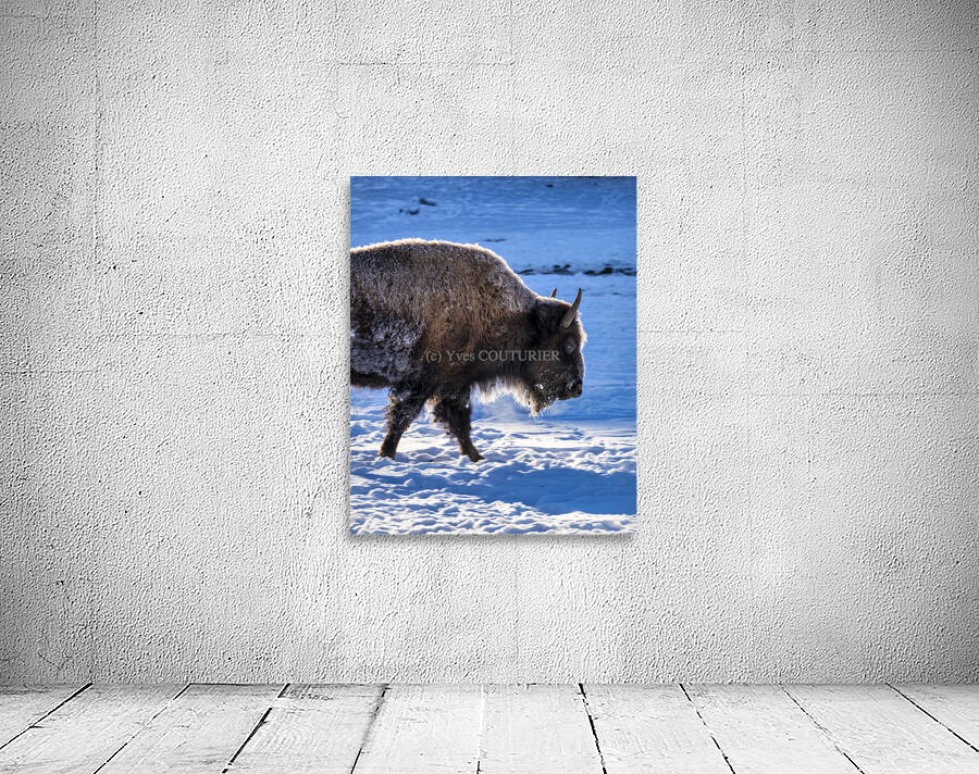 Zion Bison Wall Preview