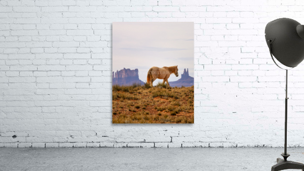At monument valley Wall Preview