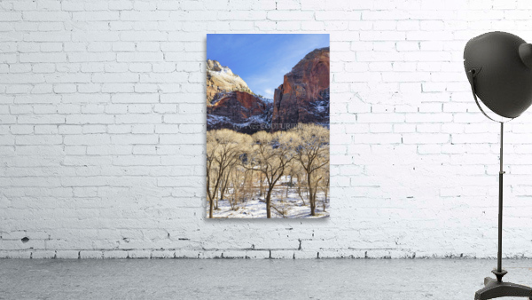In Zion Wall Preview