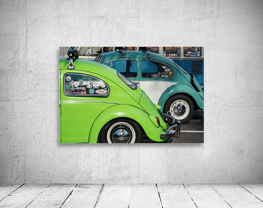 Old beetles Wall Preview