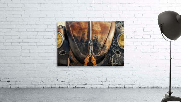 Rusty bug Wall Preview