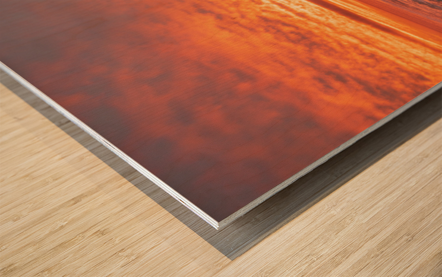 Ponto 24 Wood print