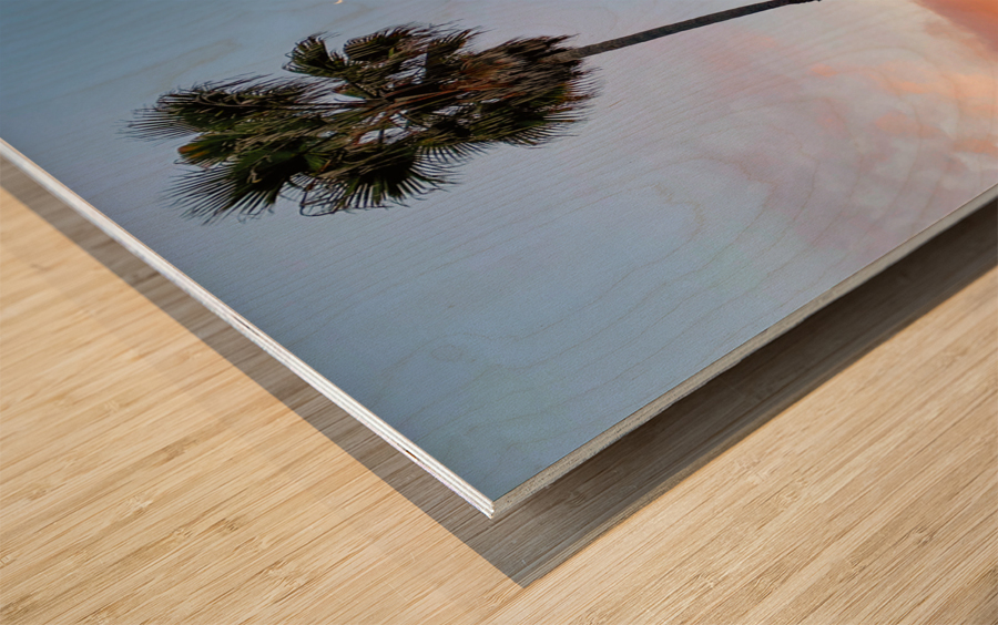 oceanside boardwalk Wood print