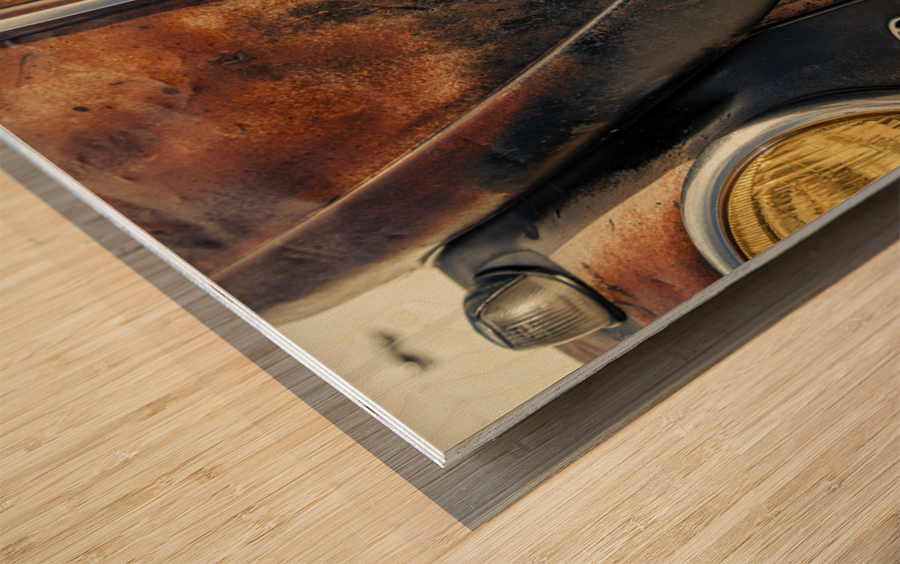 Rusty bug Wood print