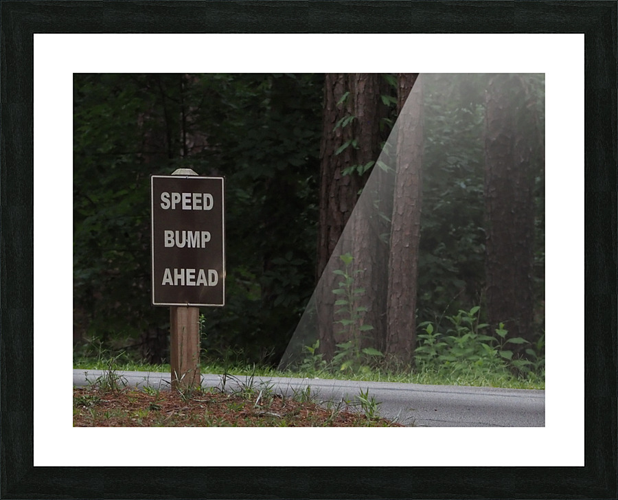 Speed Bump Ahead Picture Frame print