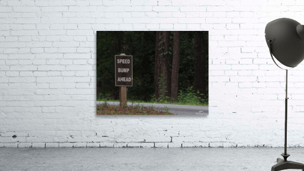 Speed Bump Ahead Wall Preview