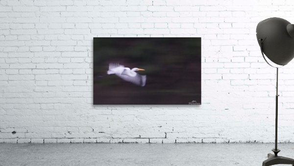 The White Stork Wall Preview