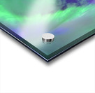 DSC 2521 Acrylic print