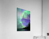 DSC 2521 Acrylic Print