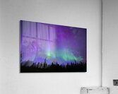 DSC 2402 Acrylic Print