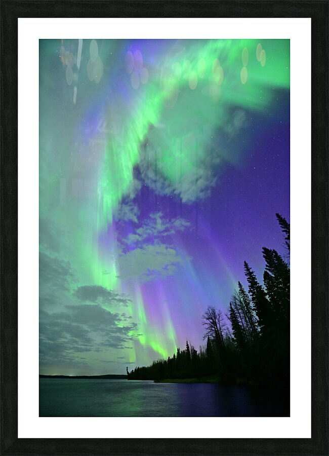 DSC 2521 Picture Frame print