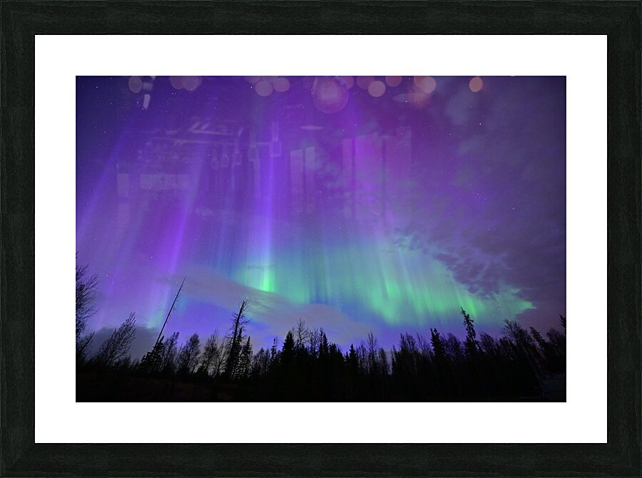 DSC 2402 Picture Frame print