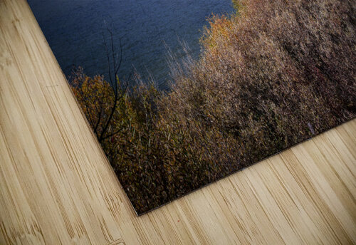 Oxbow Bend Jody Majko puzzle