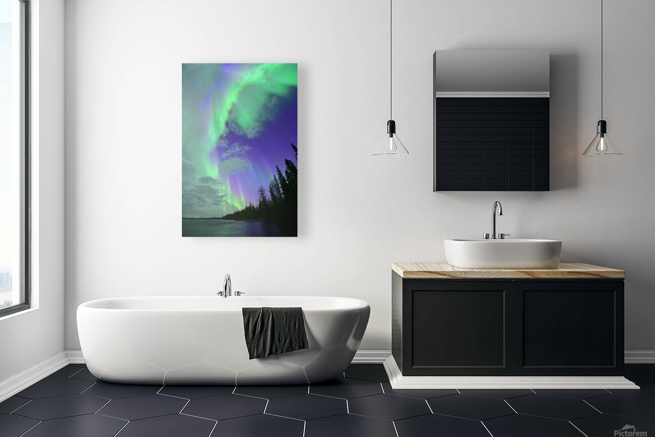 DSC 2521 Reproduction