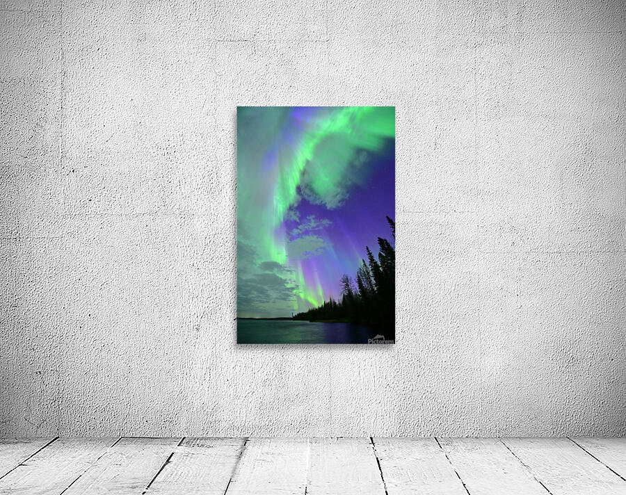 DSC 2521 Wall Preview