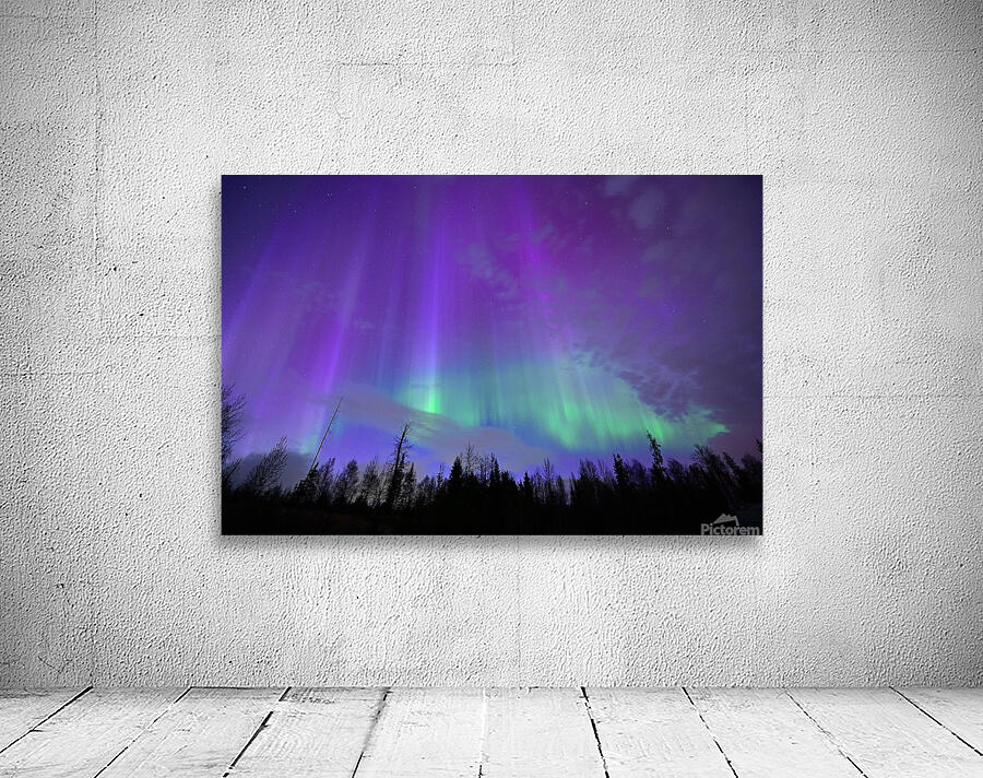 DSC 2402 Wall Preview