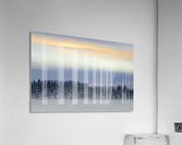 Windswept Acrylic Print
