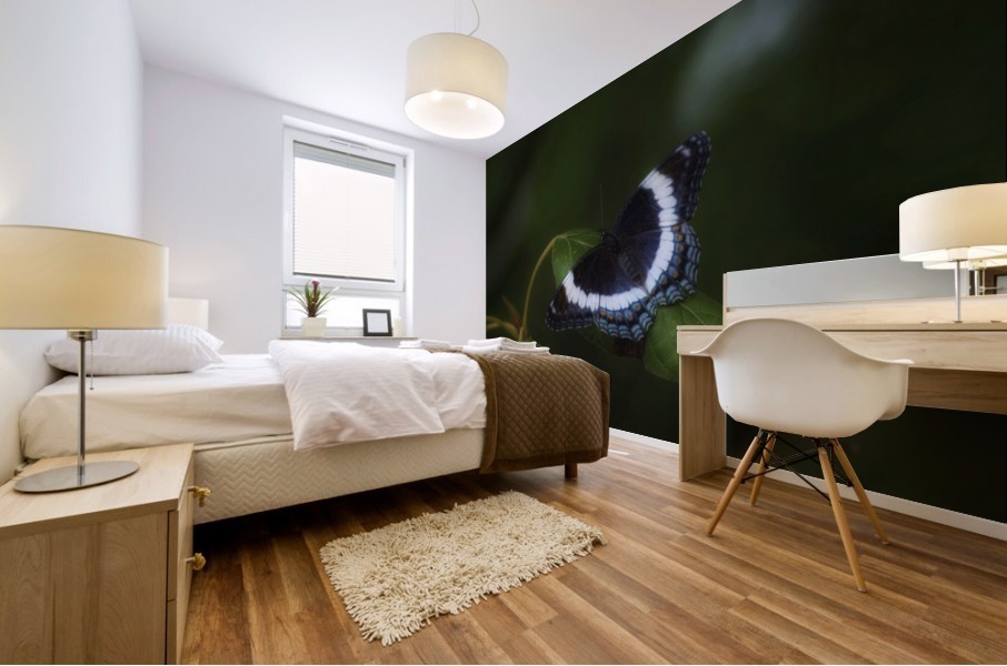 Admiral Blue Mural print