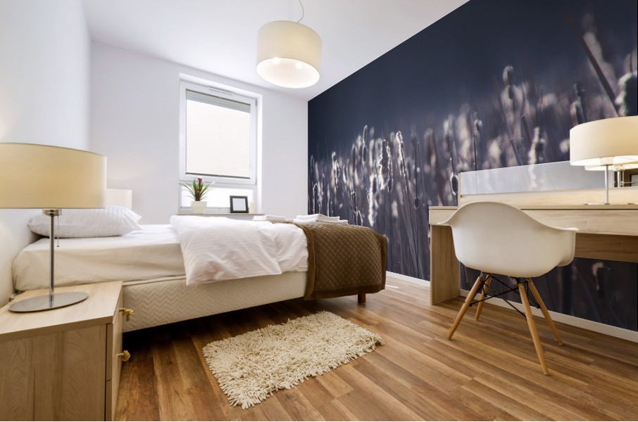 Somber Mural print