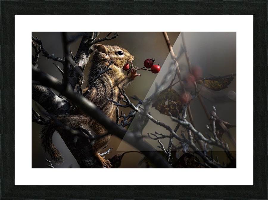 Berries Picture Frame print