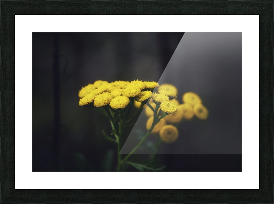 Bouquet Picture Frame print