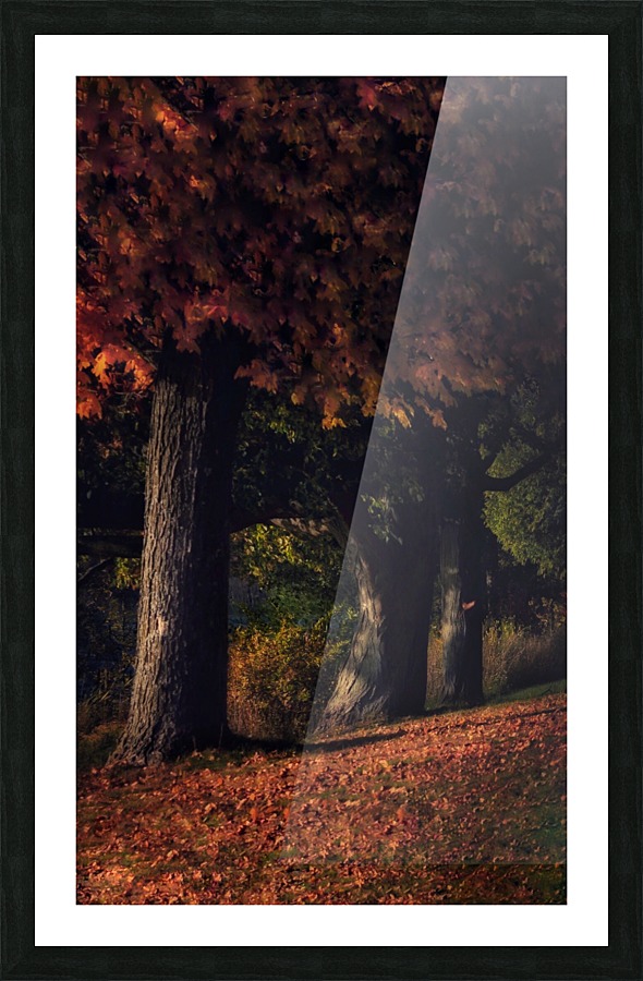 Maples Picture Frame print