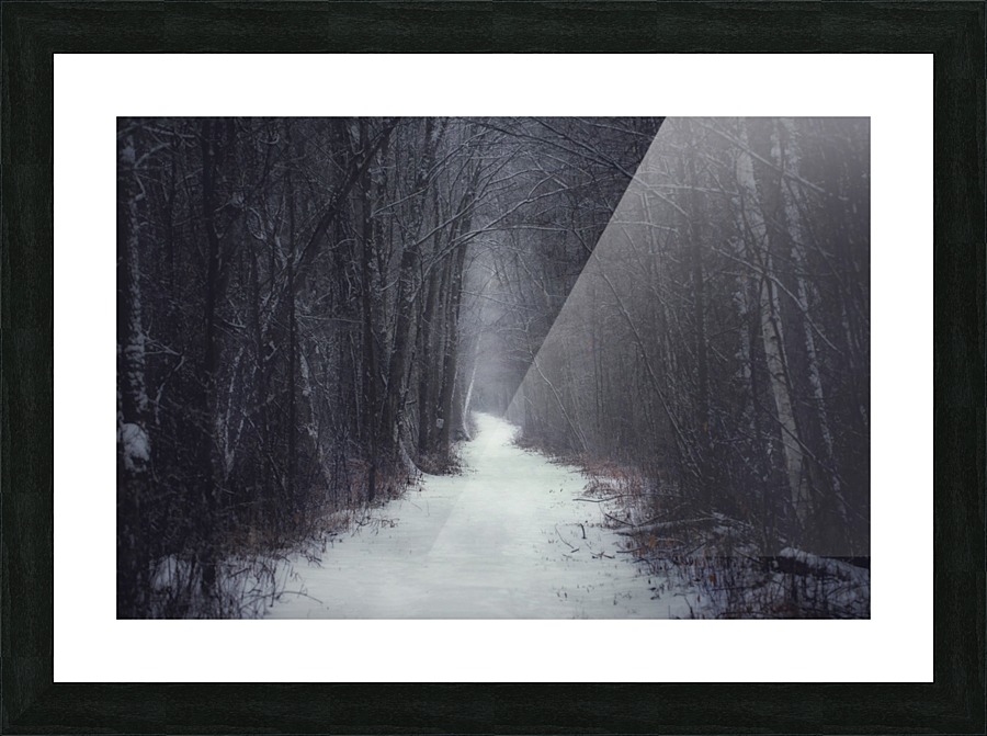 Winter Trail Picture Frame print