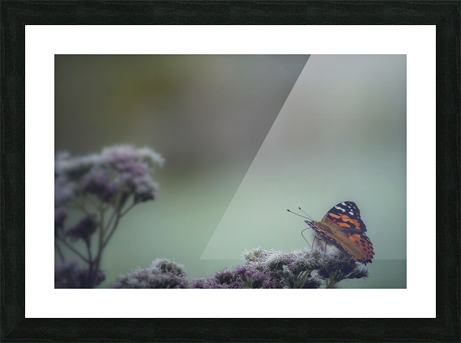 Seafoam Picture Frame print